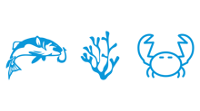 Diseño sin títulonn (58)